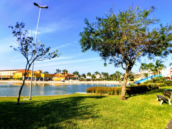 Foto de 