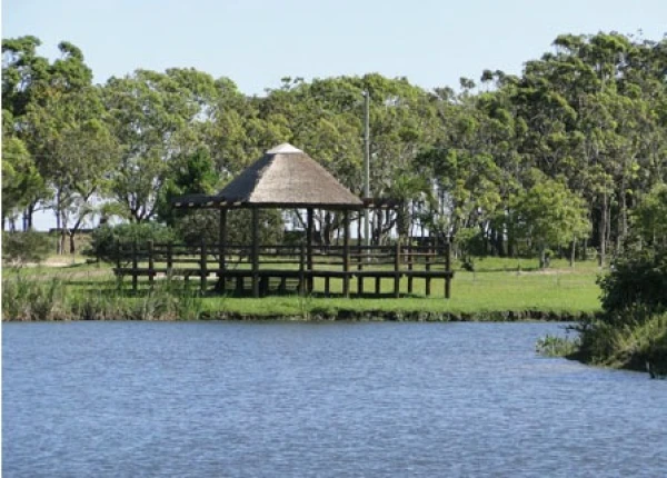 Foto de 
