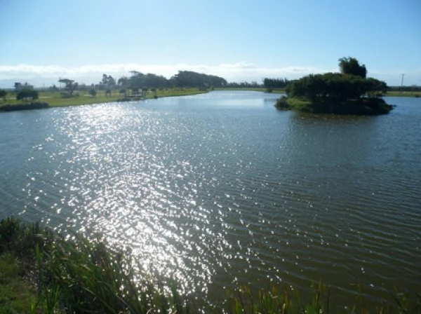 Foto de 
