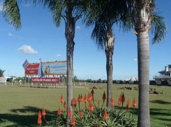 Foto de 
