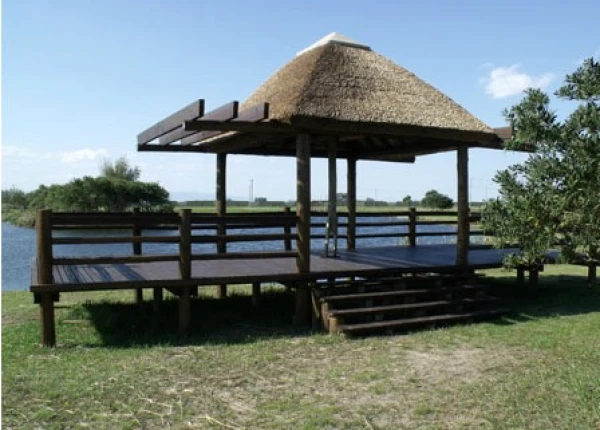 Foto de 