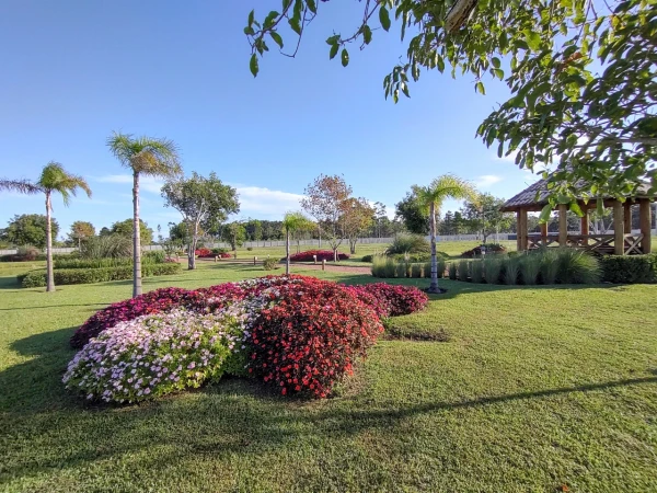 Foto de 