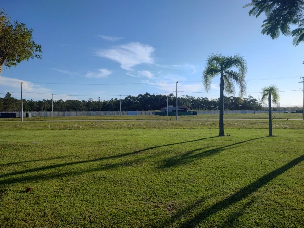 Foto de 