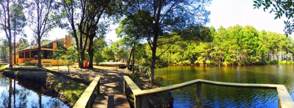 Foto de 