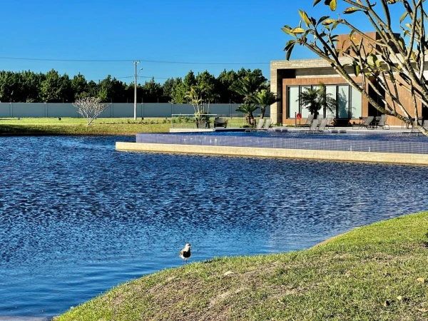 Foto de 