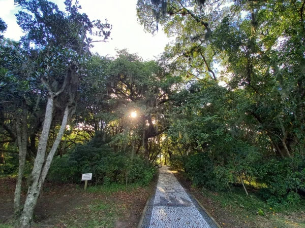 Foto de 
