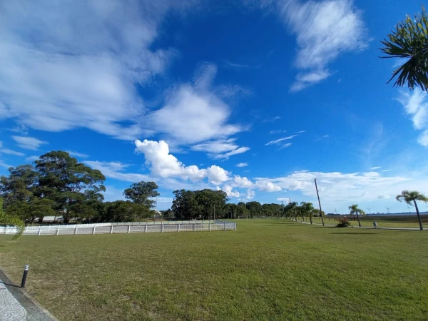 Foto de 